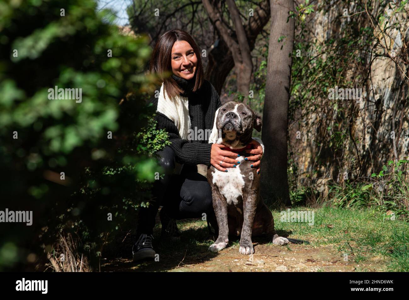 Nette und fröhliche kaukasische Frau im Park, die ihren braunen Hund des Amerikaners Stafford Terri spielt Stockfoto