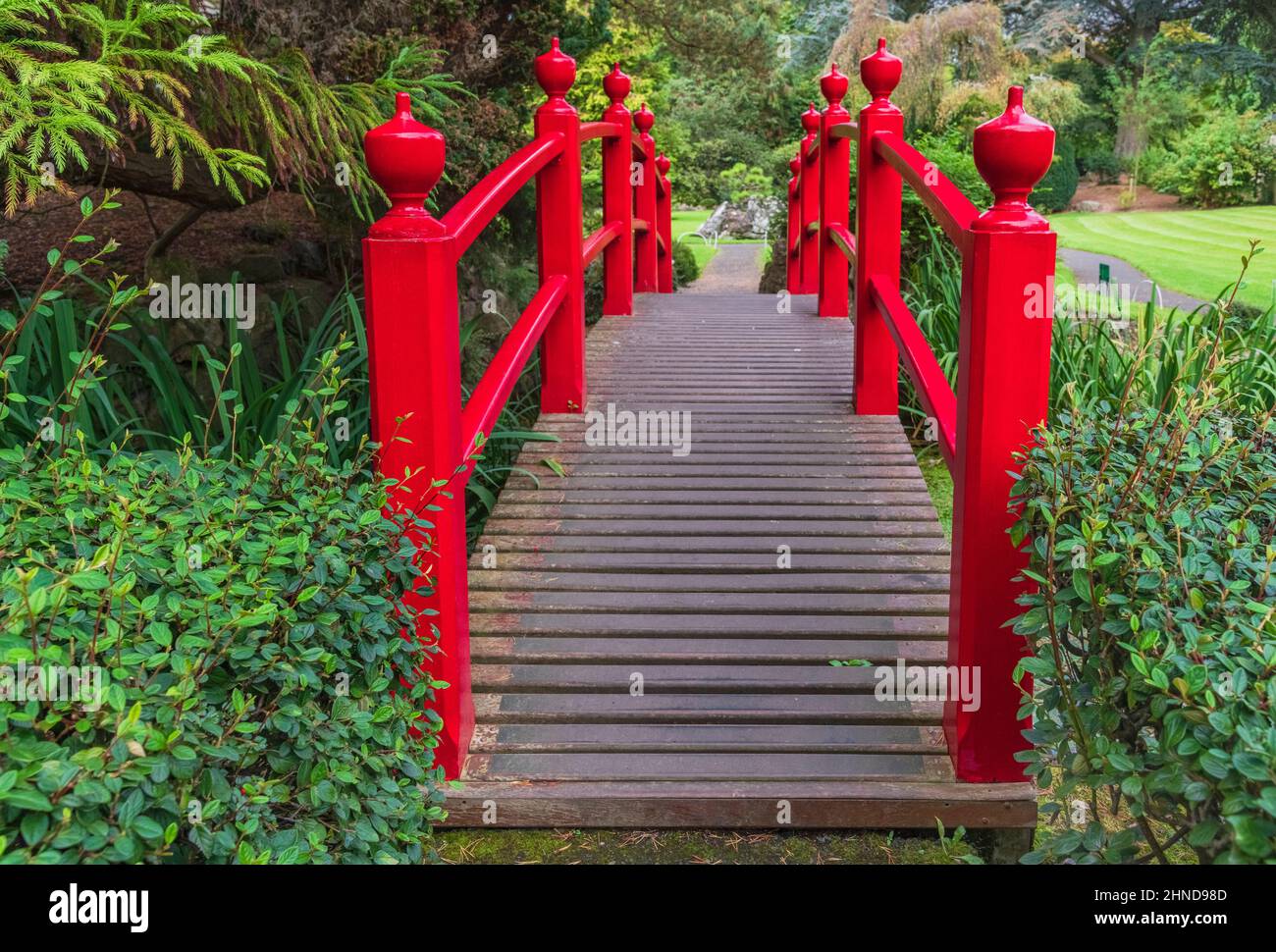 Irland, County Kildare, Kildare Stadt, Irish National Gestüt und Gärten, die Japanischen Gärten, die Brücke des Lebens. Stockfoto