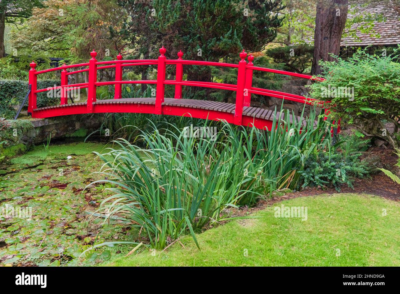 Irland, County Kildare, Kildare Stadt, Irish National Gestüt und Gärten, die Japanischen Gärten, die Brücke des Lebens. Stockfoto