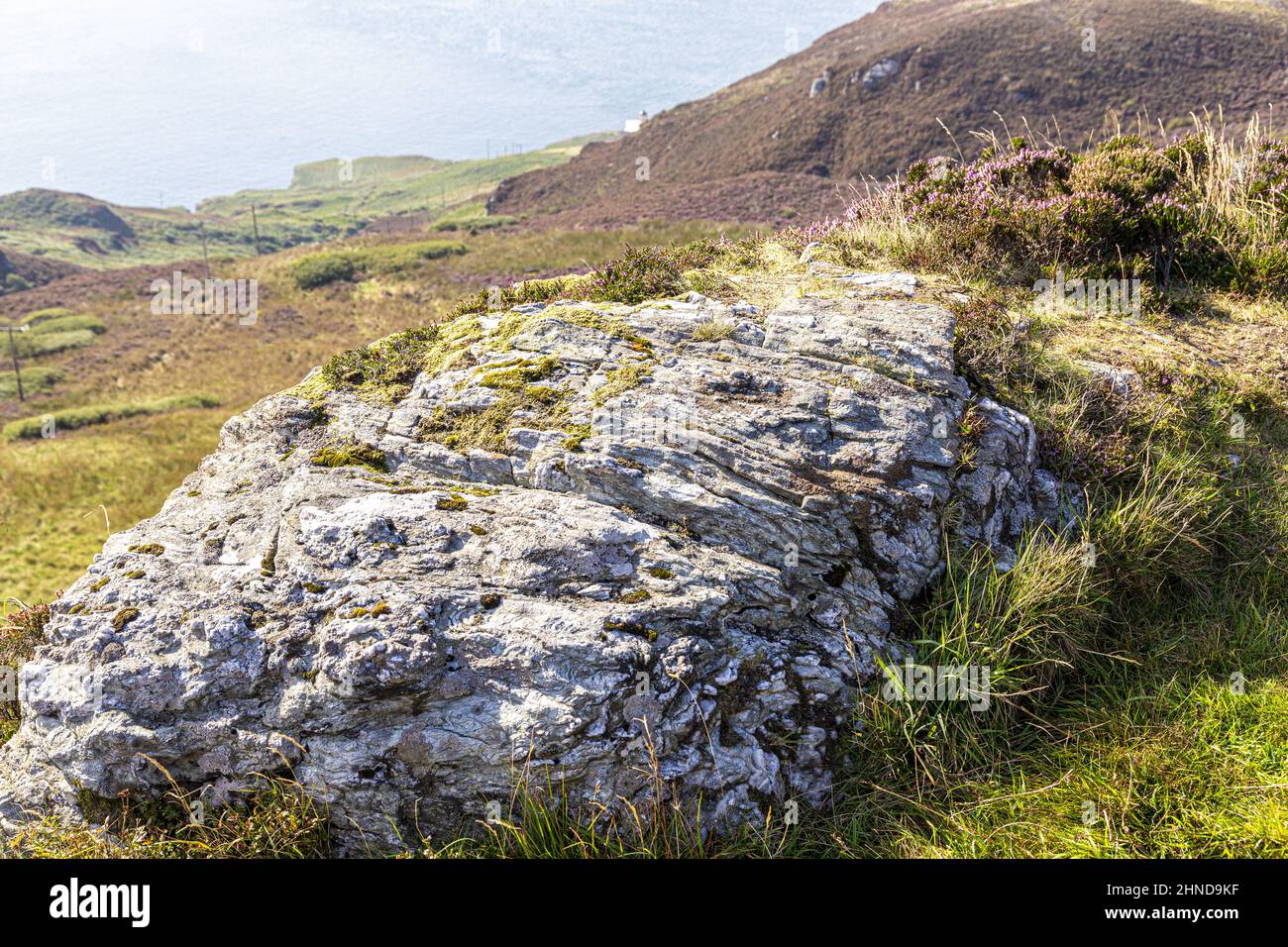 Felsige Aufschlüsse auf dem mit Heidekraut verkleideten Moorland auf der Mull of Kintyre am südlichen Ende der Kintyre Peninsula, Argyll & Bute, Schottland, Großbritannien Stockfoto