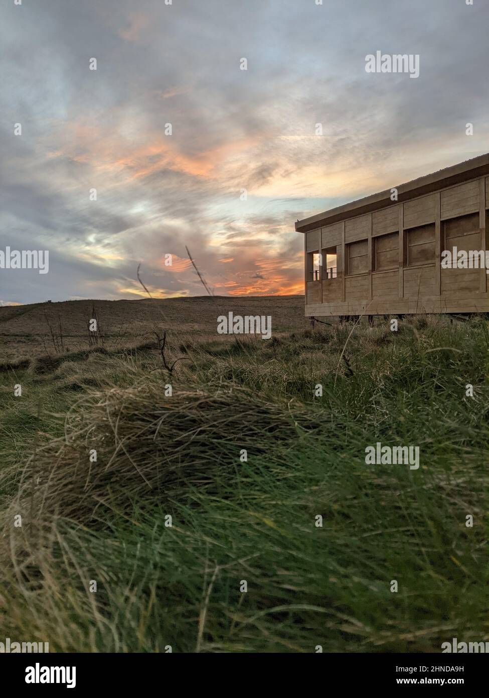 Vogelhaus Holzhütte zwischen langem Gras und Sonnenuntergang Himmel Stockfoto