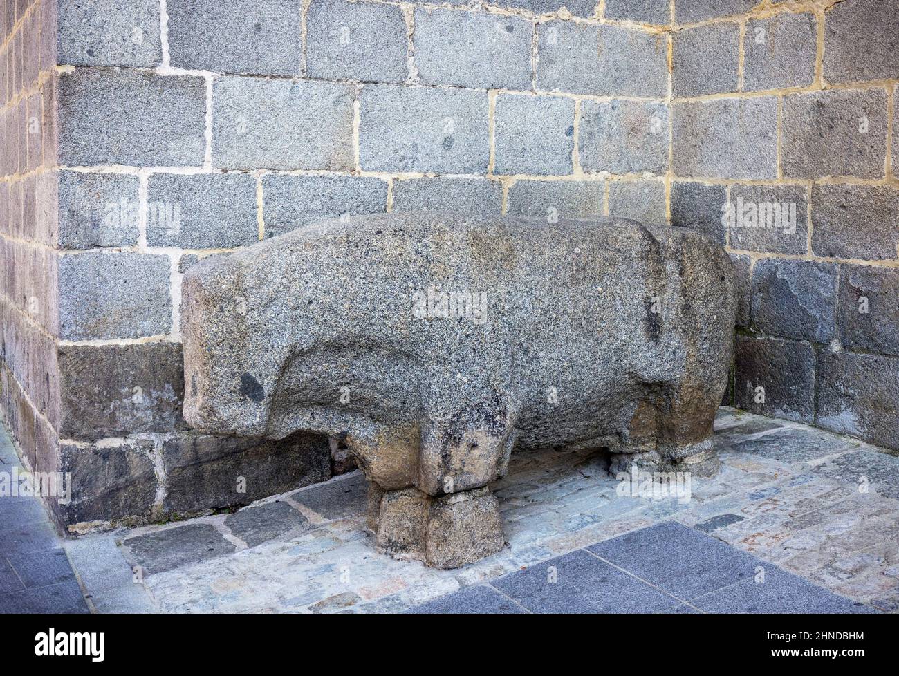 Ein steinerner Bulle, der als Verraco bekannt ist. Viele Verrakos wurden in Zentralspanien gefunden und sind noch erhalten. Sie stammen aus der Zeit um den 4th. Bis zum 1st. Jahrhundert Stockfoto