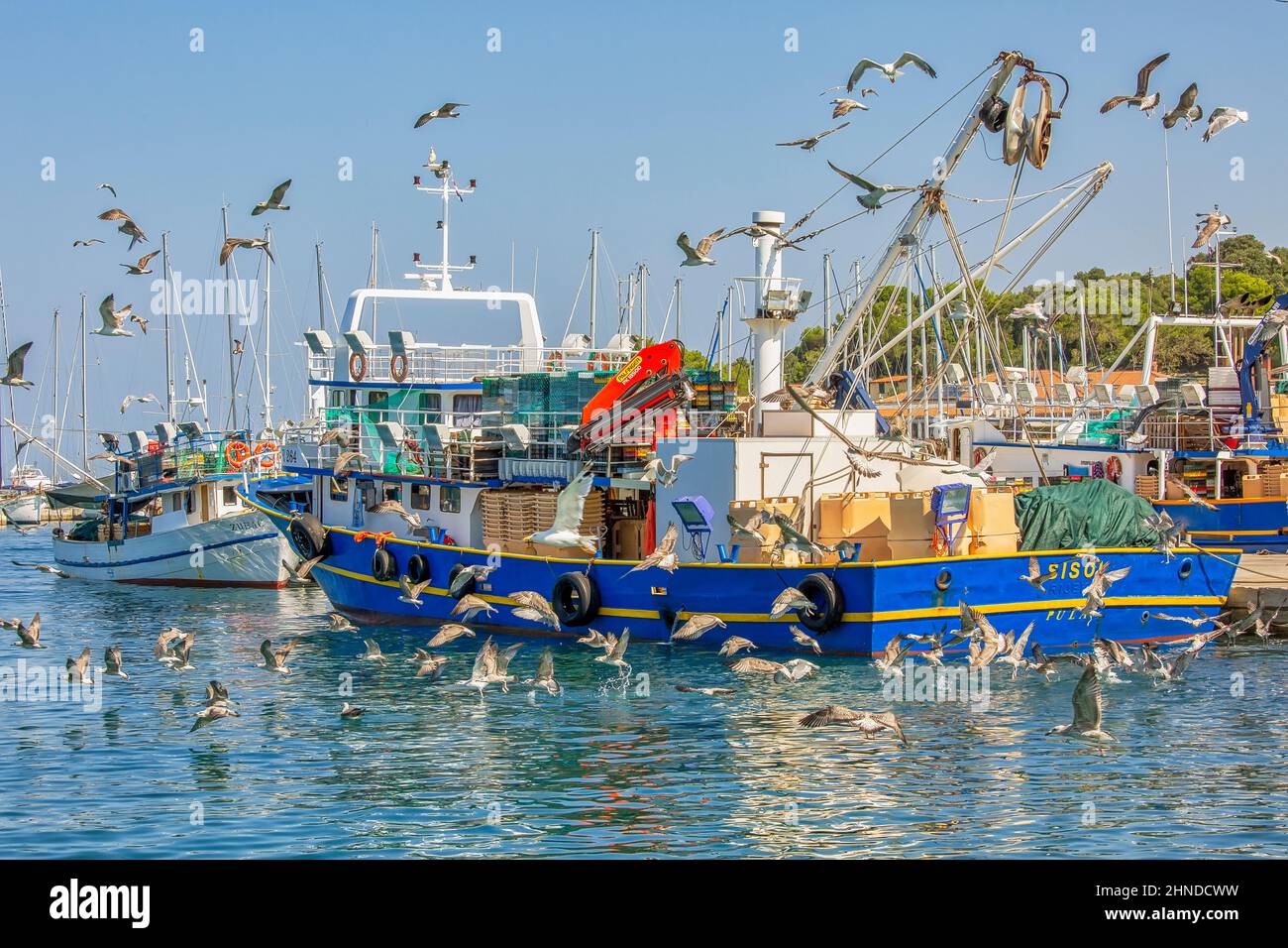 VRSAR, KROATIEN - 11th. August 2019: Fischerboote im Hafen Stockfoto