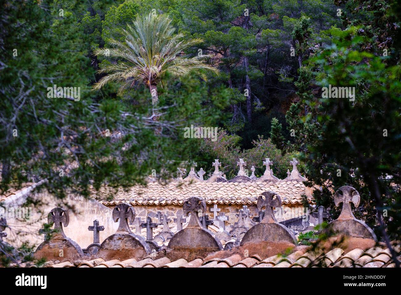 Städtischer Friedhof Andratx, Mallorca, Balearen, Spanien Stockfoto