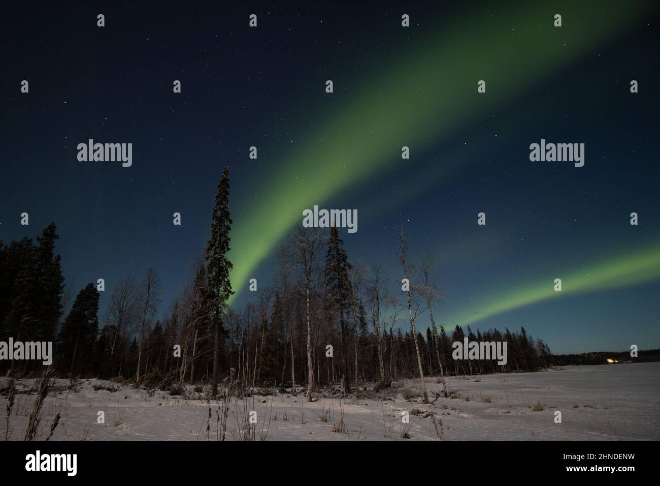 Atemberaubend grün tanzende aurora borealis am dunklen Himmel in Levi, lappland, Nordfinnland. Grüne Streifen von Nordlichtern während des polaren Winters in Stockfoto