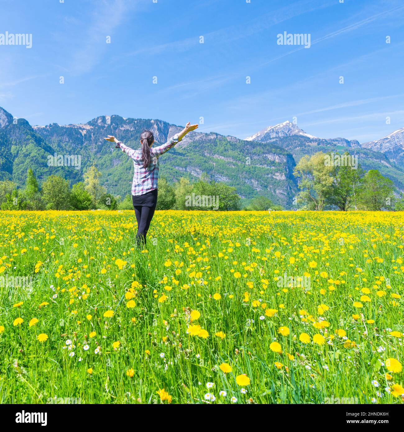 Frau mit offenen Händen auf dem Feld der blühenden Dandelionen. Sommerlandschaft vor dem Hintergrund der Berge. Stockfoto