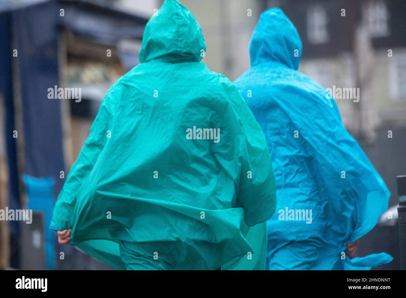 Stralsund, Deutschland. 16th. Februar 2022. Touristen laufen mit Regenponchos durch den Hafen von Stralsund. In Deutschland wird in den kommenden Tagen stürmisches und regnerisches Wetter erwartet. Quelle: Stefan Sauer/dpa/ZB/dpa/Alamy Live News Stockfoto