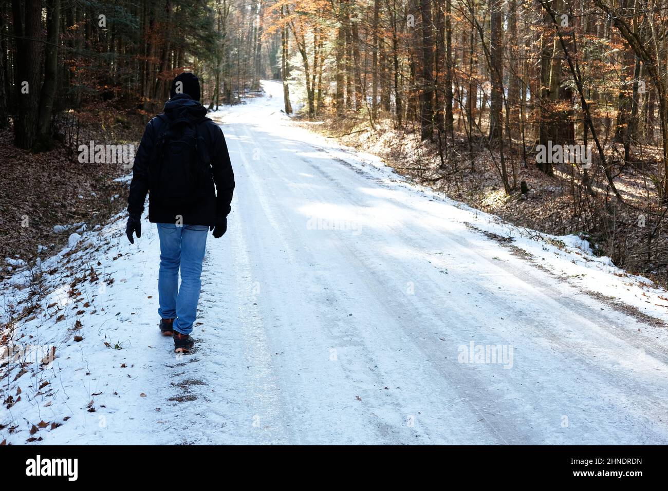 Mann auf einer Wanderung im Winter auf eisigen Waldwegen im Nationalpark Roztocze in Polen Stockfoto
