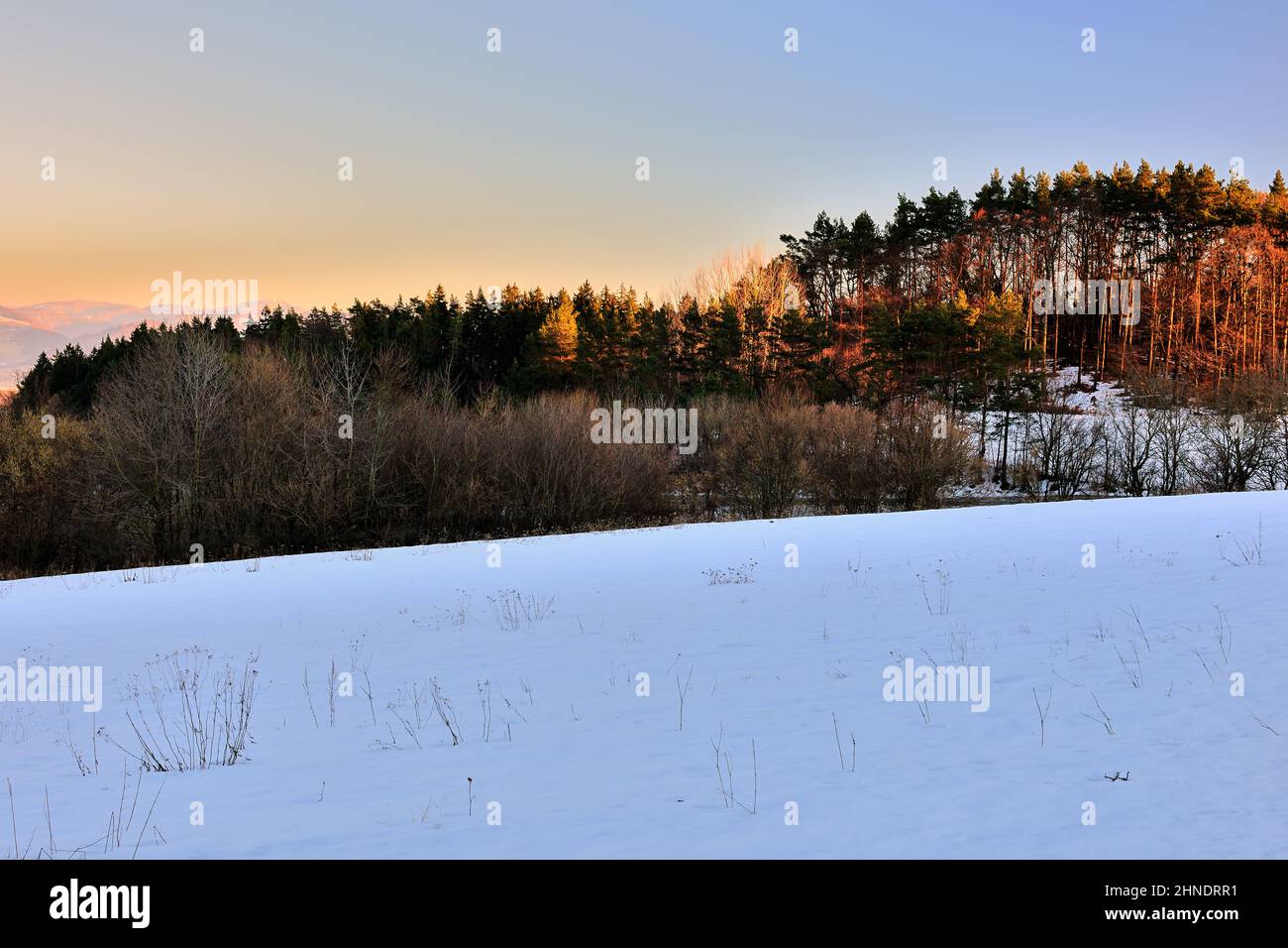 Winter Berglandschaft mit Wald bei Sonnenuntergang. Bäume, die von der untergehenden Sonne beleuchtet werden. Goldene Seitenbeleuchtung. Natürlicher Hintergrund, Tapete. Vrsatec, Slowakei. Stockfoto