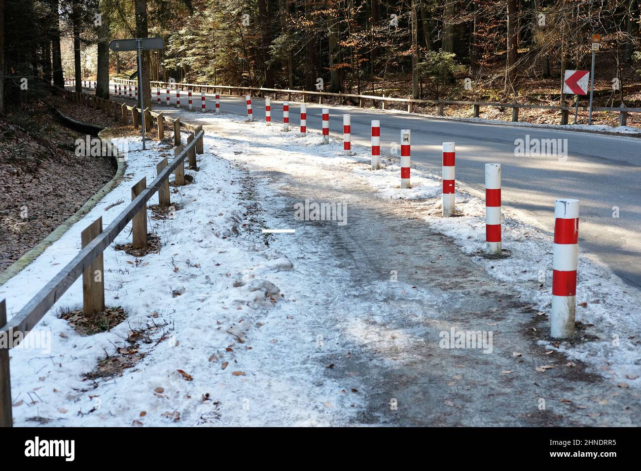 Eisige Straße und Gehweg im Wald im Roztocze Nationalpark Stockfoto