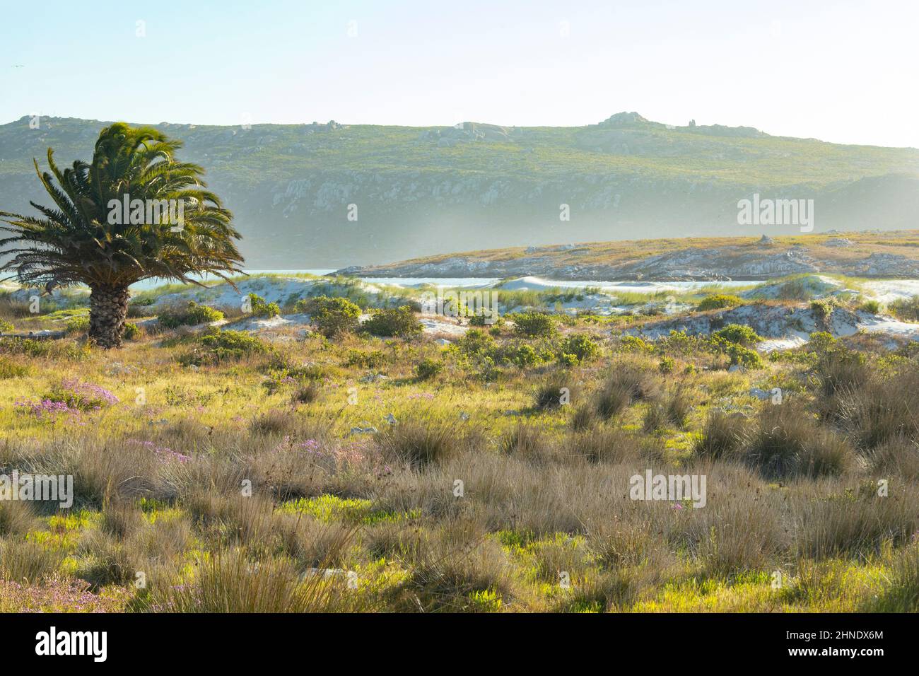 West Coast National Park, Western Cape, Südafrika Stockfoto