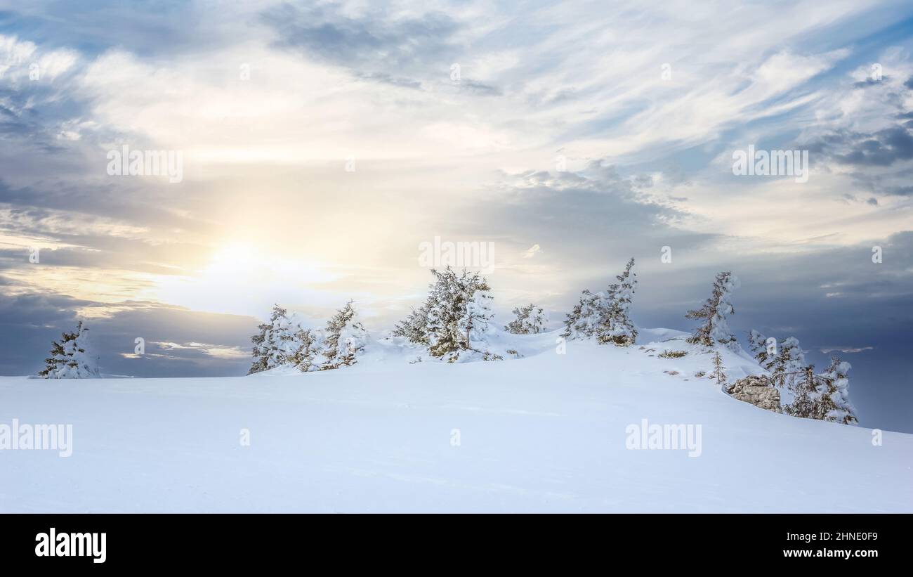 Wunderschöne Sonnenuntergangslandschaft mit Bergkiefern im Vordergrund im Winter Stockfoto