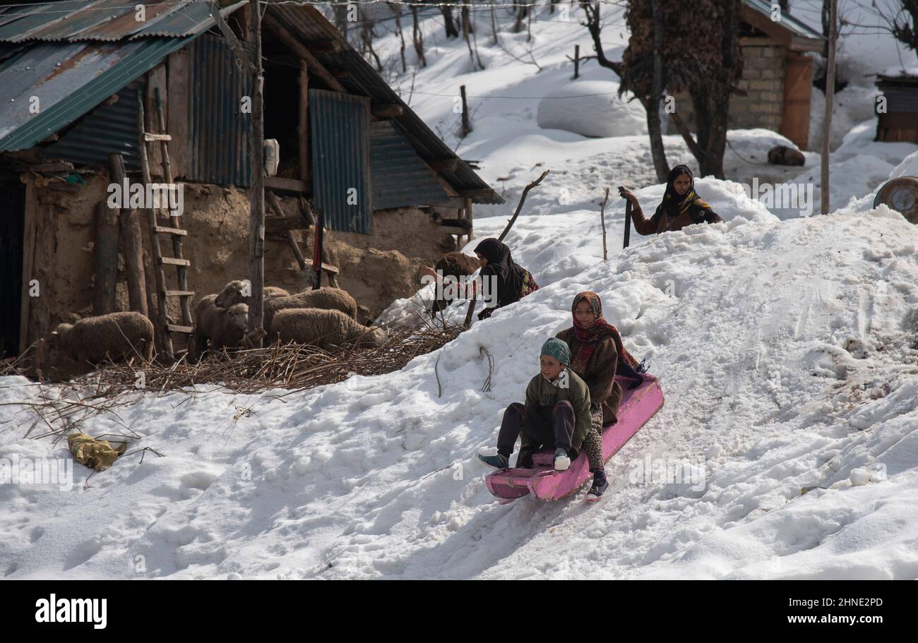 Die Kinder nehmen an einem sonnigen Tag in Drang an einer Schlittenfahrt auf einer schneebedeckten Piste Teil. Stockfoto