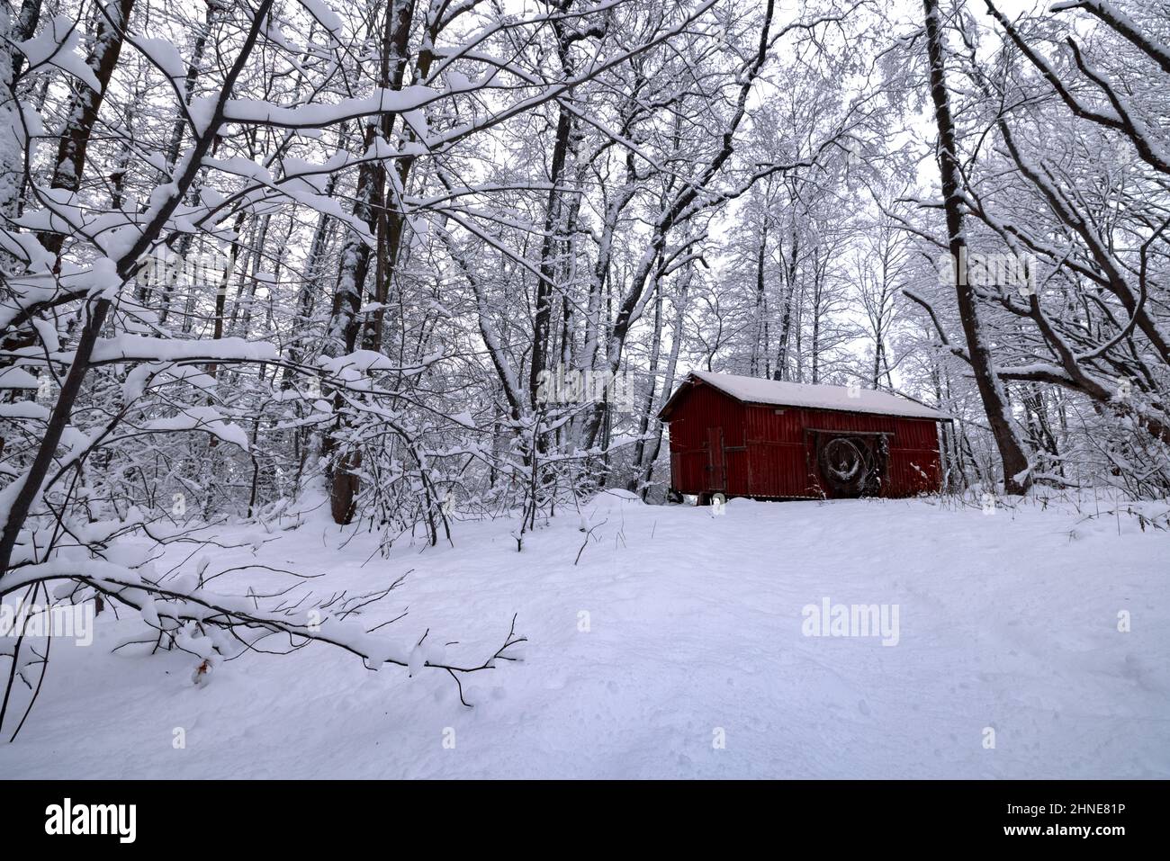 Ein einsames kleines rotes Holzhaus in einem verschneiten Nordwald im Winter. Hochwertige Fotos Stockfoto