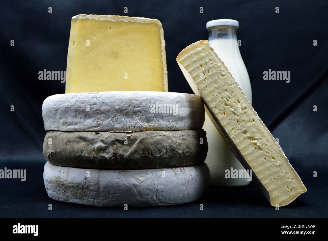 Saint Nectaire Käse und Cantal Käse. Es handelt sich um einen Auvergne-Käse und einen Bergkäse aus Kuhmilch. Stockfoto