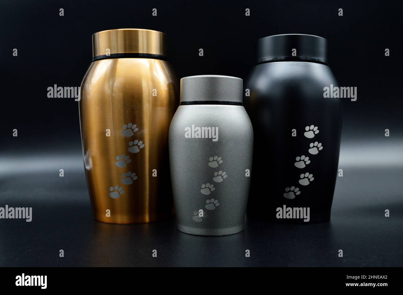 Beerdigung Urn für Haustiere, nach der Einäscherung. Stockfoto