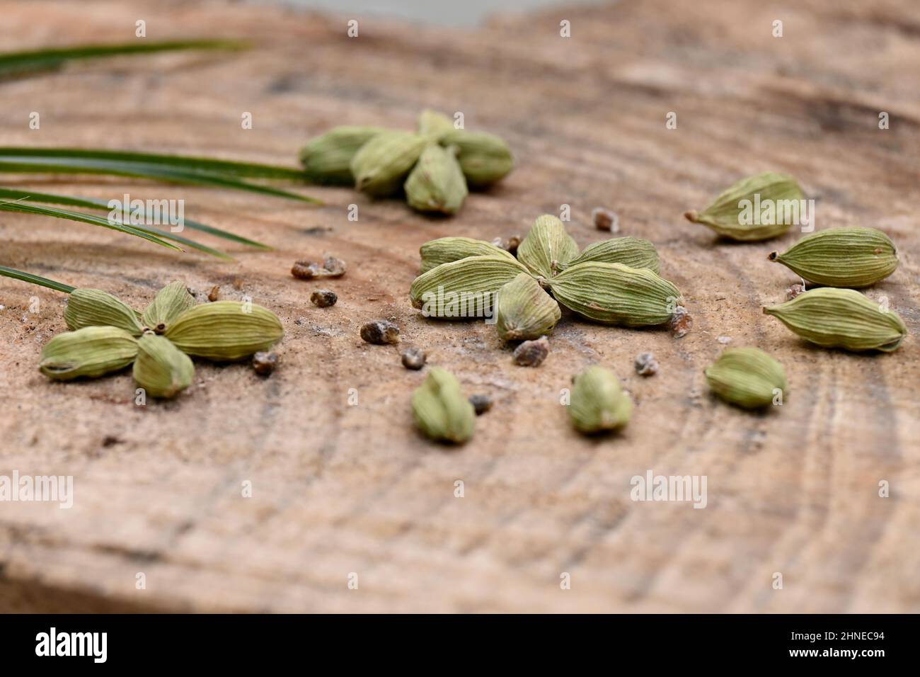 Nahaufnahme des Bündels grün reifen Kardamom mit grünen Blättern über aus Fokus hölzernen Hintergrund. Stockfoto