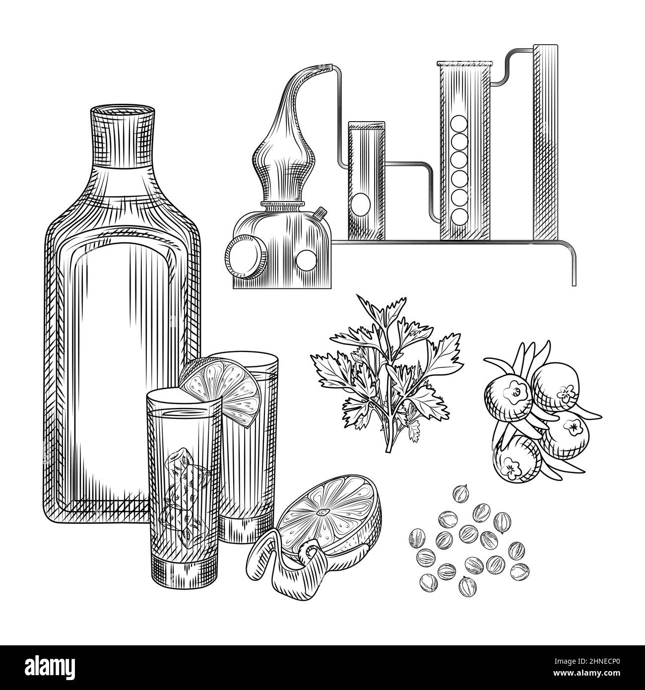 Set Gin in Hand gezeichnet Stil auf weißem Hintergrund.Gläser mit Gin und Tonic Cocktail, Alembik, Koriander, Zitronenschale. Element für die Gestaltung des Balkenmenüs. E Stock Vektor