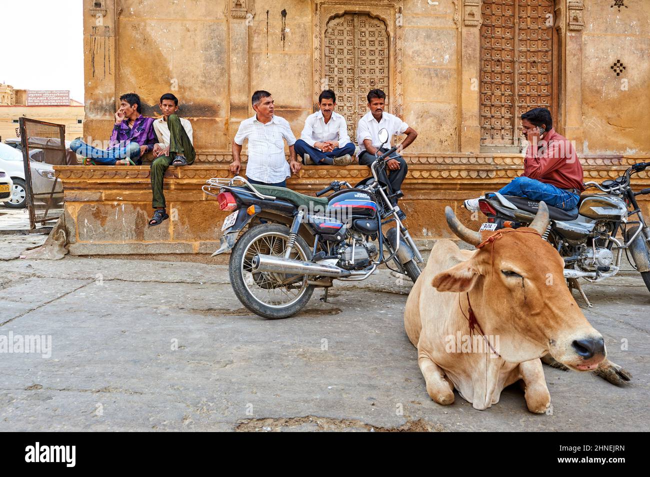 Indien Rajasthan jaisalmer. Kuh und Menschen auf den Straßen Stockfoto