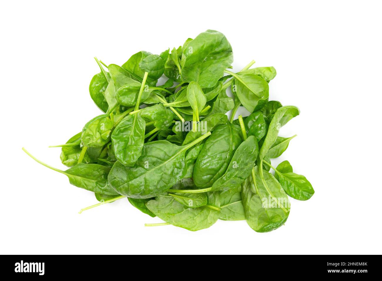 Haufen Spinat auf weißem Hintergrund Stockfoto