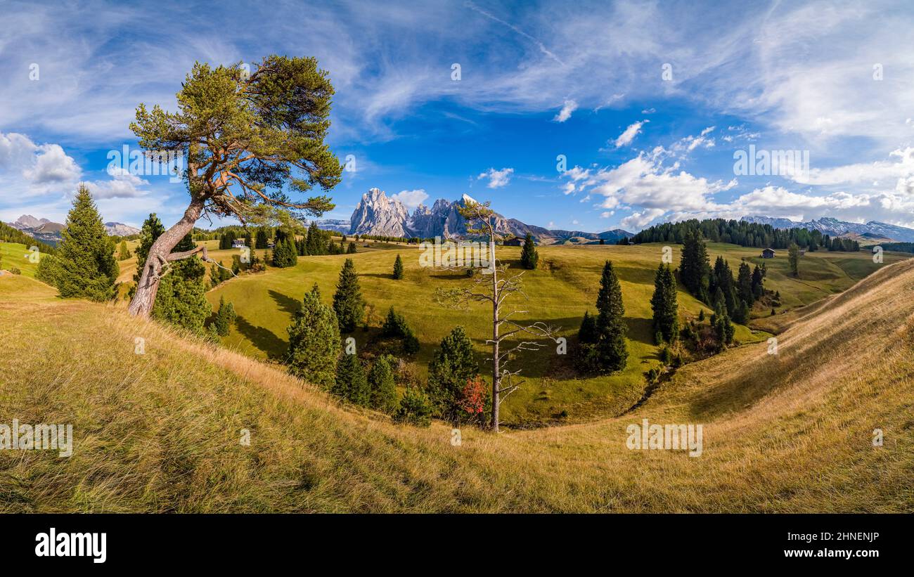 Hügelige Agrarlandschaft mit Bäumen auf der Seiser Alm, die Langkofel (links) und Plattkofel (rechts) in der Ferne, im Herbst. Stockfoto