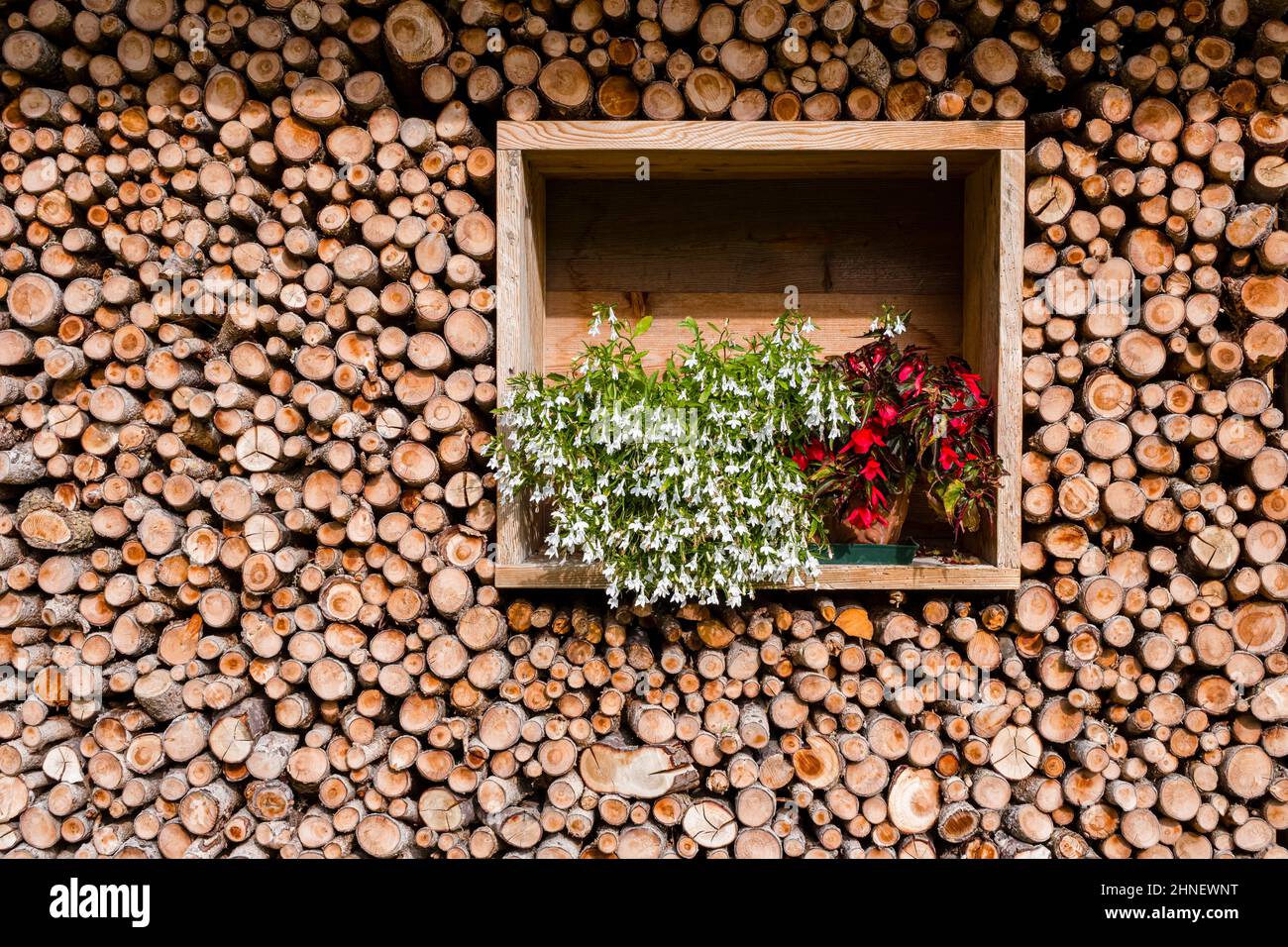 Ein Stapel gesägter Äste und blühender Blumen bedeckt ein Haus auf der Seiser Alm. Stockfoto