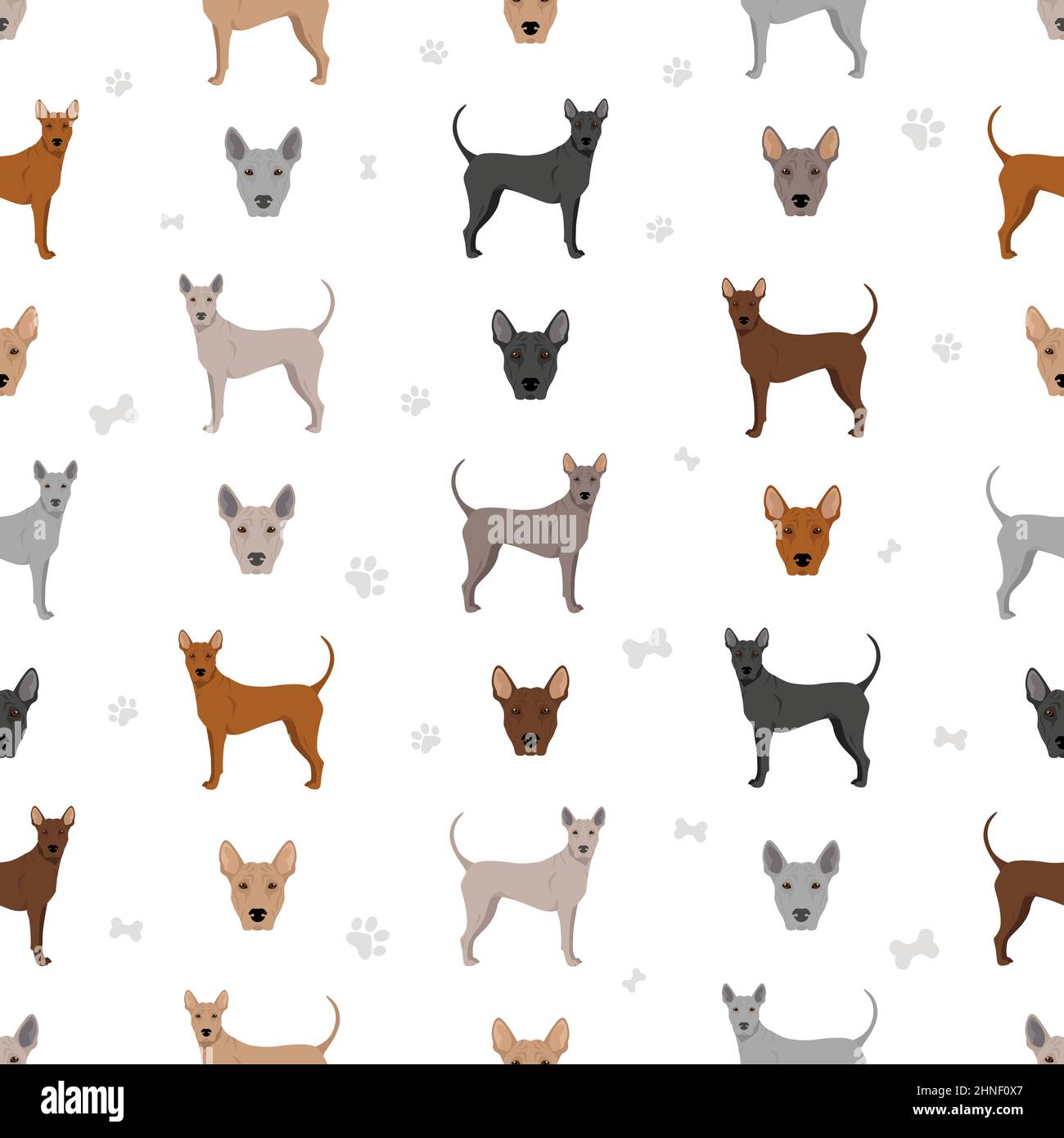 Thai Ridgeback Nahtloses Muster. Verschiedene Posen, Fellfarben eingestellt. Vektorgrafik Stock Vektor