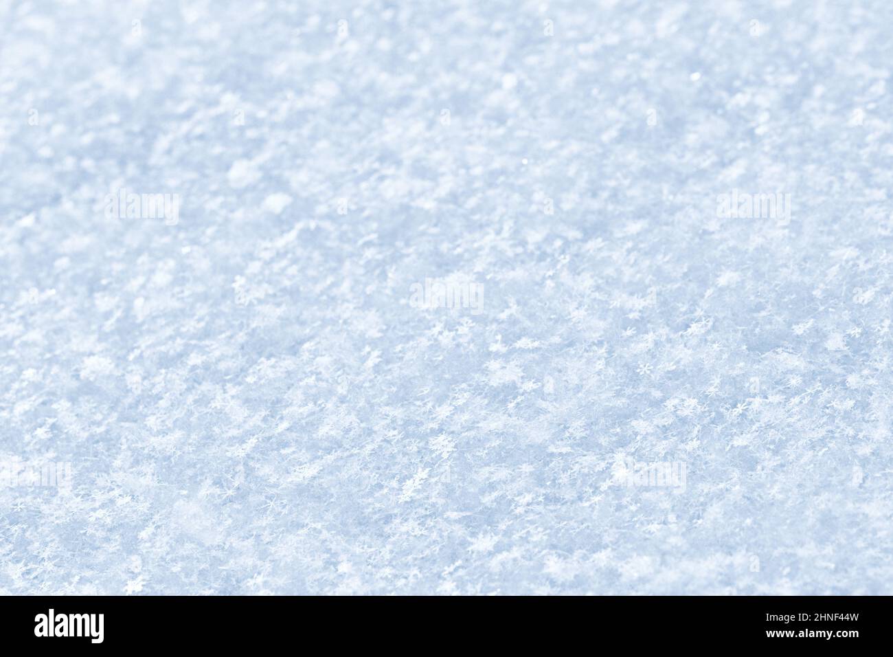 Schnee von Schneeflocken, Makrofoto von weißem Schnee im Winter, Schneetextur. Stockfoto