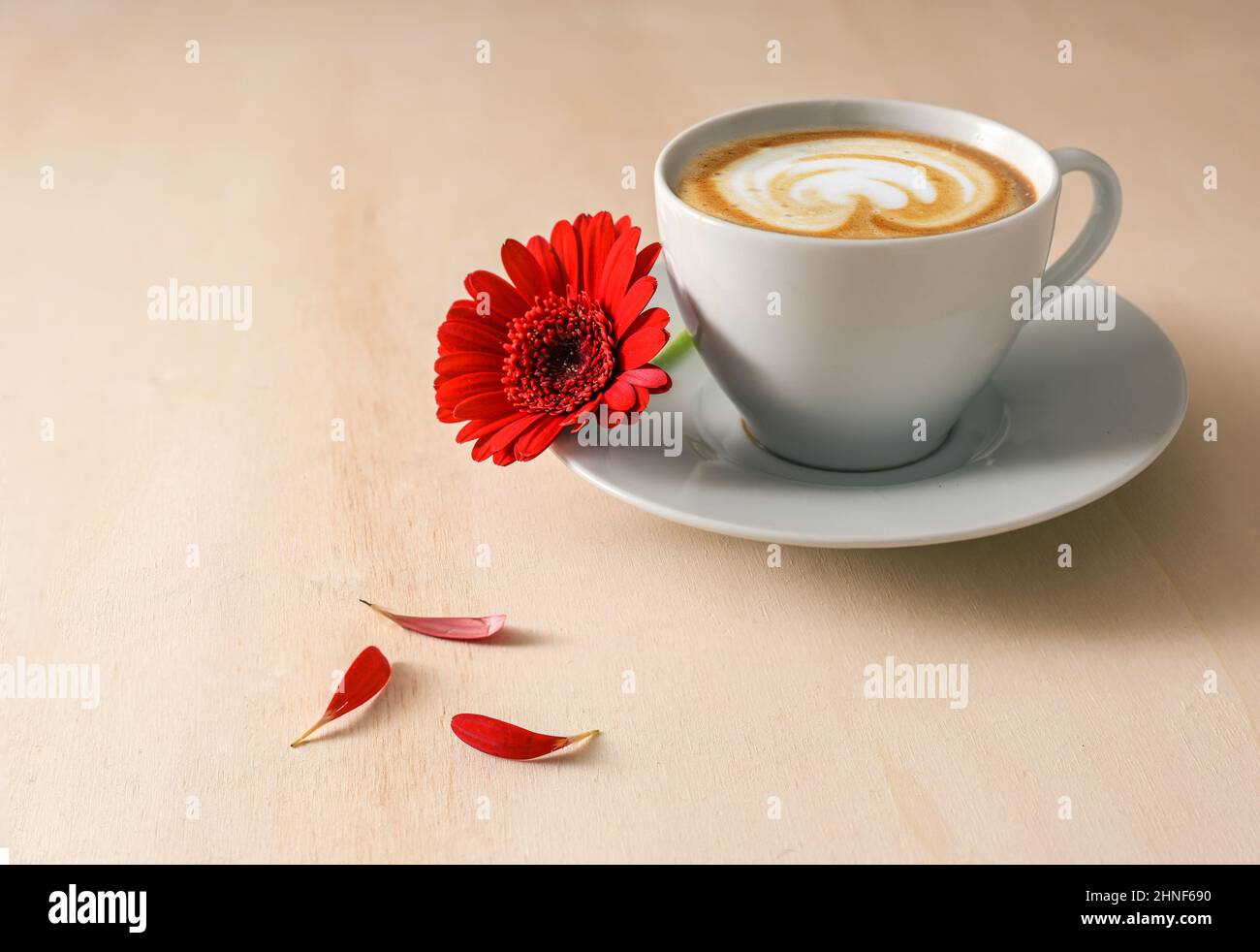 Kaffeetasse mit Cappuccino und einer roten Blume mit herausgerissenen Blütenblättern als ja oder nein orakel, Liebe, Dating und Geschäftsentscheidungskonzept, heller Holzbackgro Stockfoto