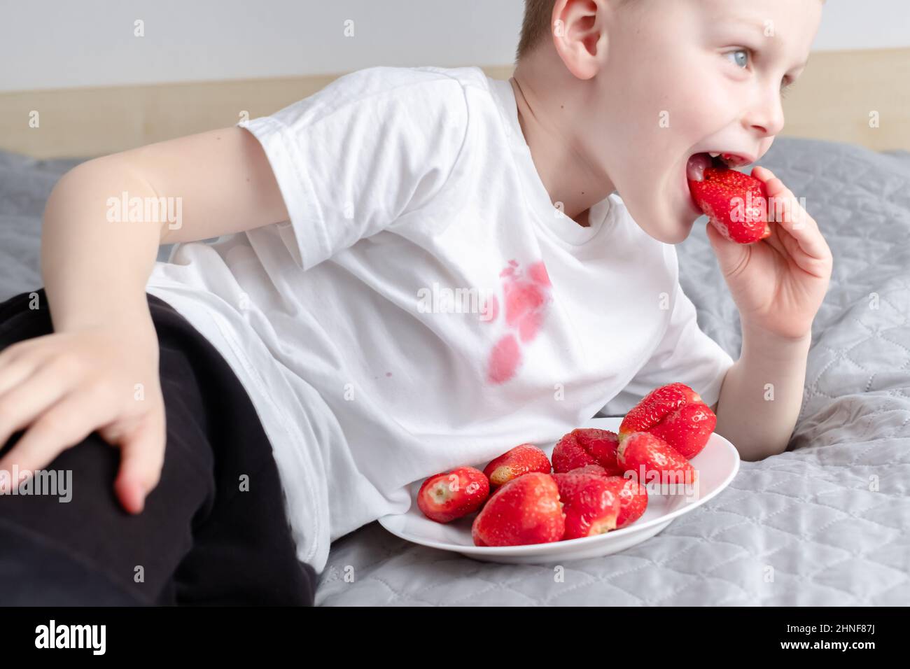 Junge sitzt auf der Couch und isst Erdbeere und verschüttet Saft auf dem T-Shirt. Das Konzept der Reinigung Flecken auf Kleidung. Stockfoto