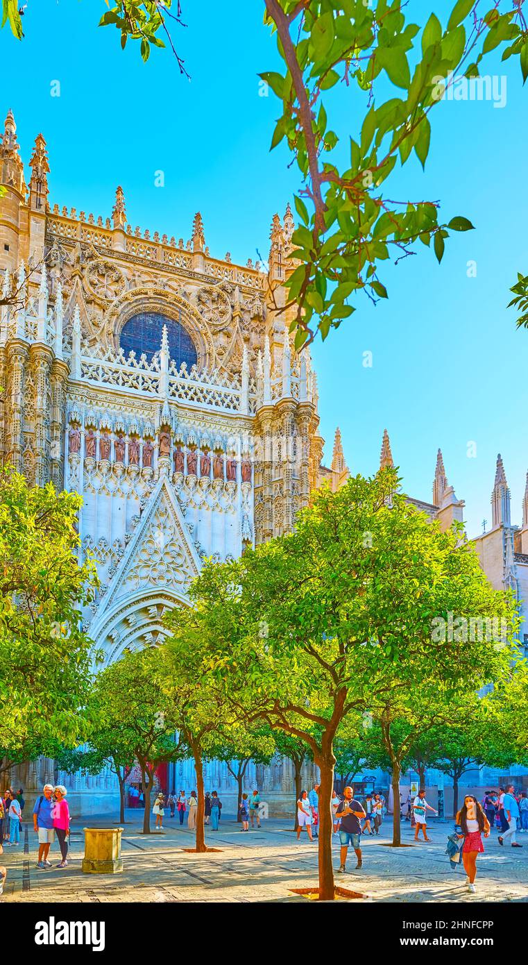 SEVILLA, SPANIEN - 29. SEPTEMBER 2019: Der angenehme Spaziergang zwischen den üppigen grünen Bäumen des Orangenbaumhofes der Kathedrale von Sevilla mit der Tür der Conceptio Stockfoto