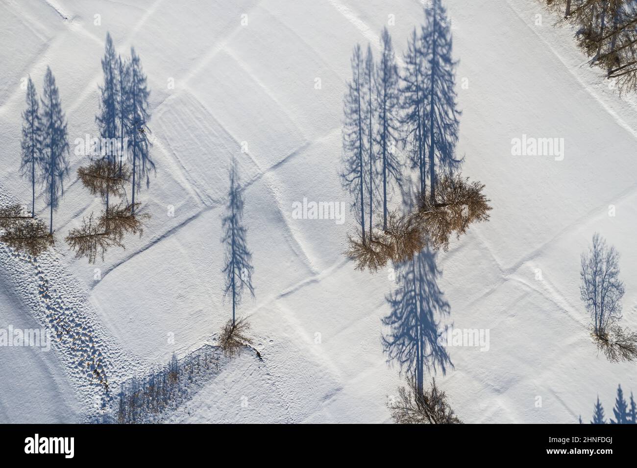 Blick von oben auf den Schatten der Bäume im Schnee Stockfoto