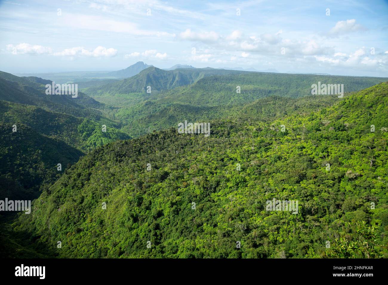 Black River Gorges National Park, Mauritius, Afrika Stockfoto