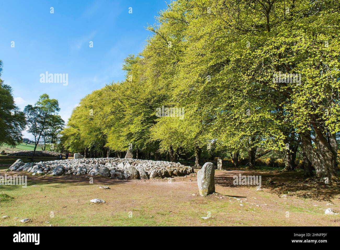 Neolithikum, Neolithikum, Schubkarre, megalithische Kultur, Tumulus, Clava Cairns, Balnuaran of Clava, in der Nähe von Inverness, Highland, Schottland, Großbritannien Stockfoto