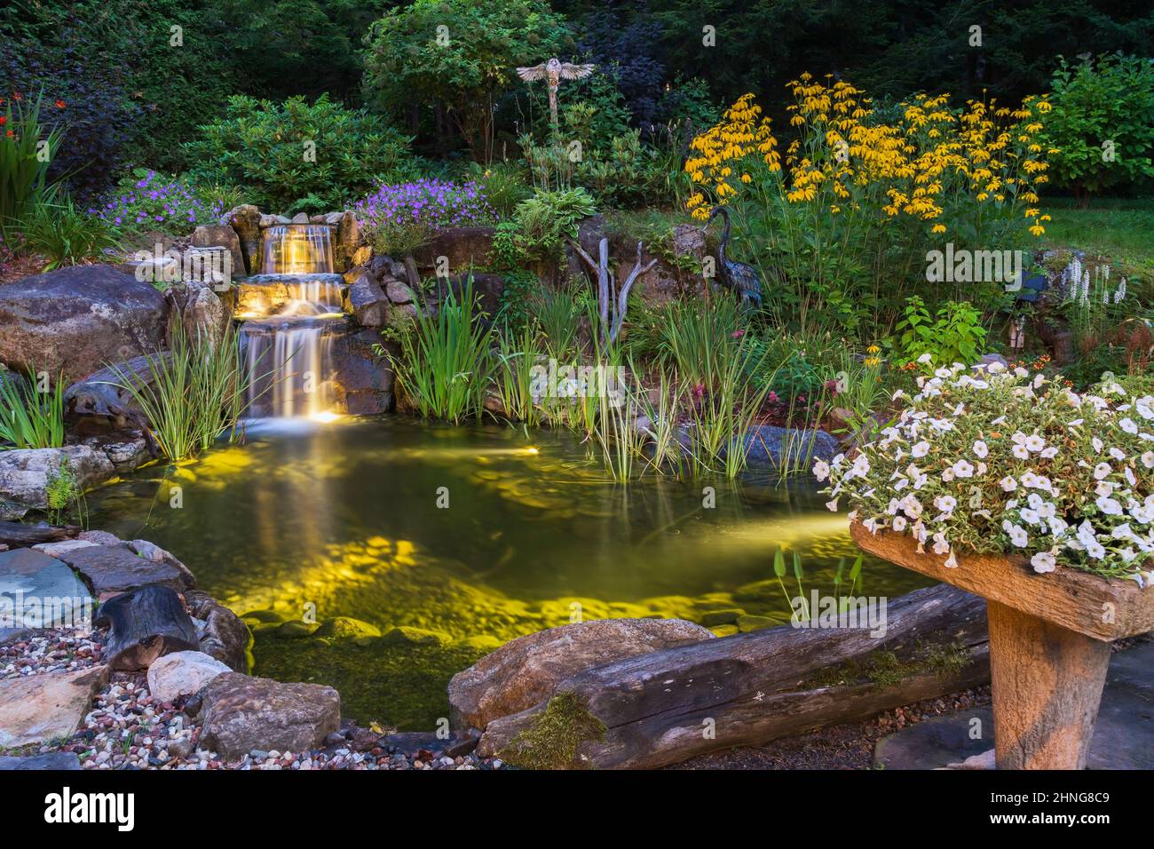 Weiße Petunias und Rudbeckia laciniata Kegelblumen neben dem Teich