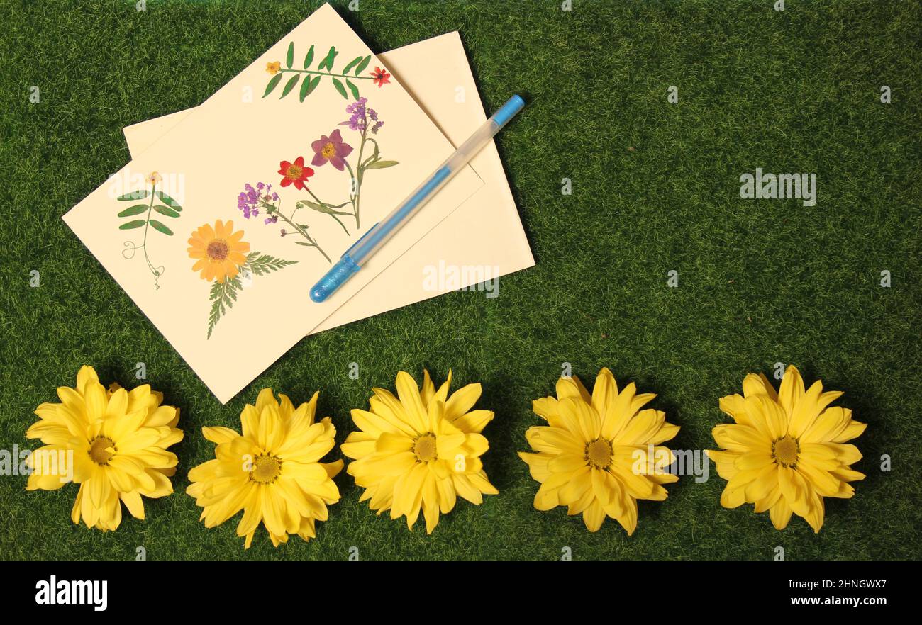 Blumen auf Gras mit unbeschrifteten Grußkarten mit getrockneten Blumen Stockfoto