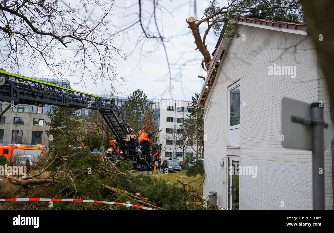 Bad Bevensen, Deutschland. 17th. Februar 2022. Freiwillige Feuerwehrleute verwenden eine Luftleiter, um einen Baum zu entfernen, der auf einem Gebäude liegt. Quelle: Philipp Schulze/dpa/Alamy Live News Stockfoto