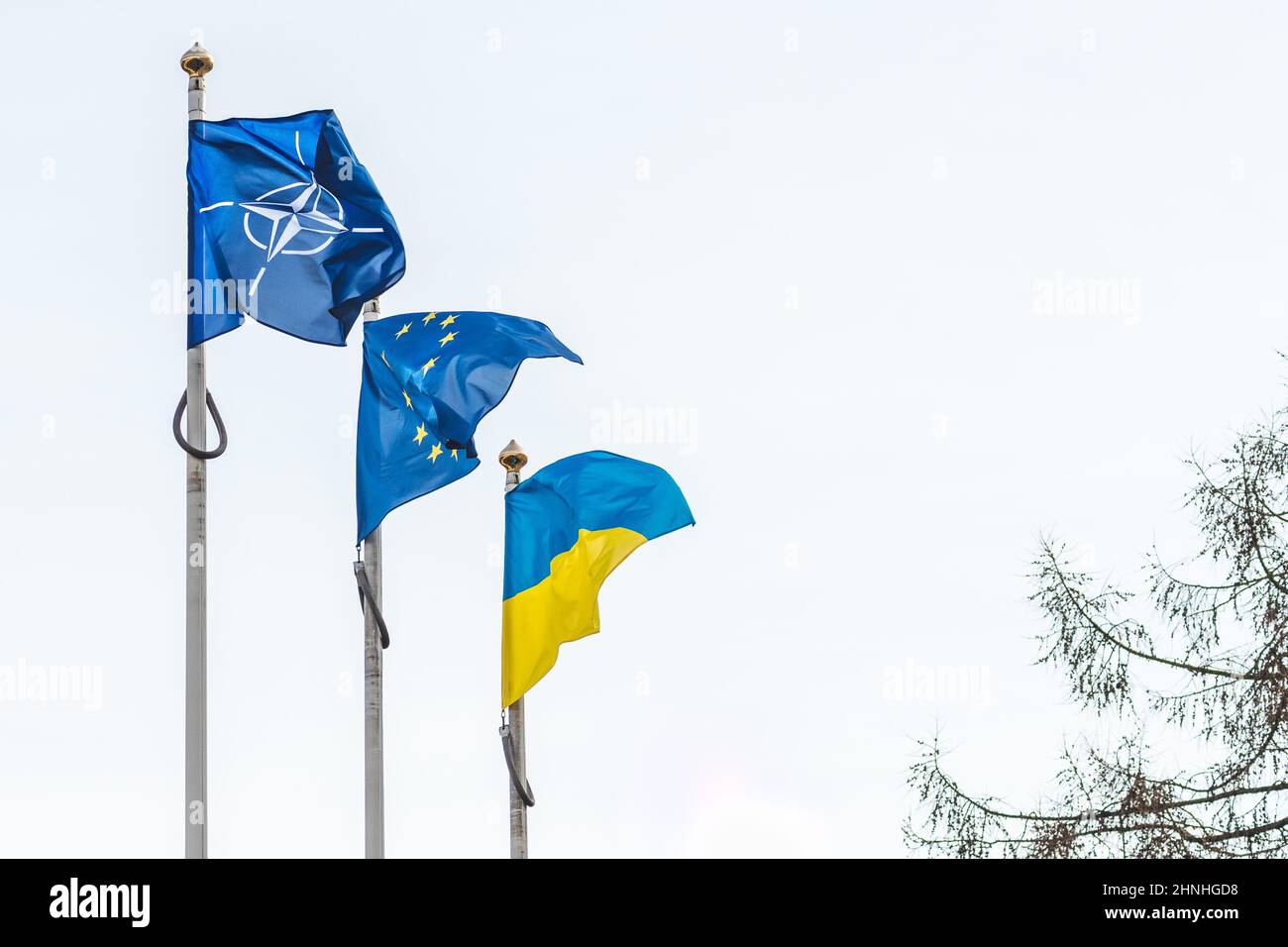 Die Flagge der NATO, der Europäischen Union und der Ukraine winkt am Himmel zusammen mit einem Baum auf der rechten Seite Stockfoto