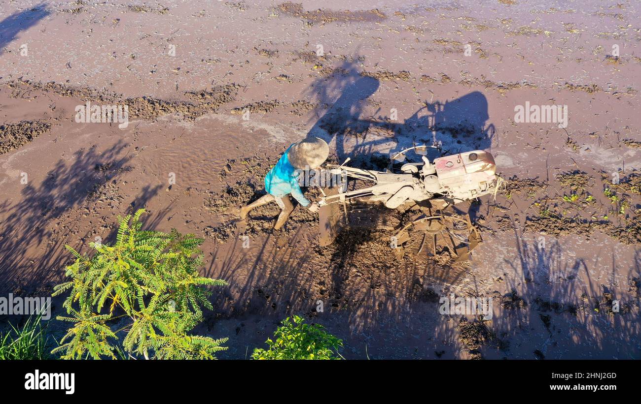 Undefinierter indonesischer Bauer, der mit einem Traktor auf einem Reisfeld arbeitet Stockfoto