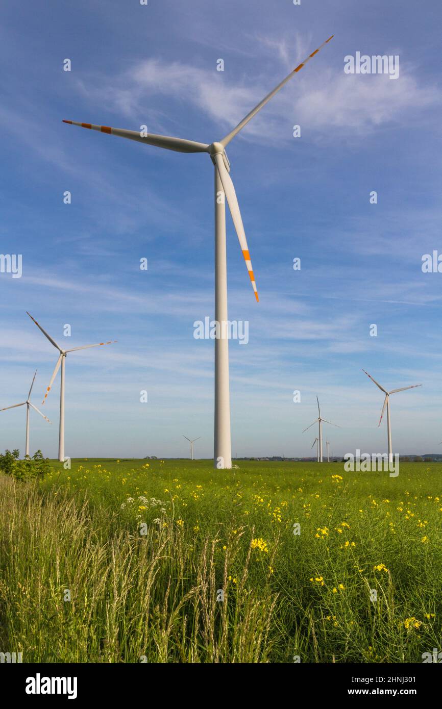 Ökostrom. Erneuerbare Energiequellen. Windturbinenfeld in Polen. Windpark Łebcz, Pommern, Polen Stockfoto