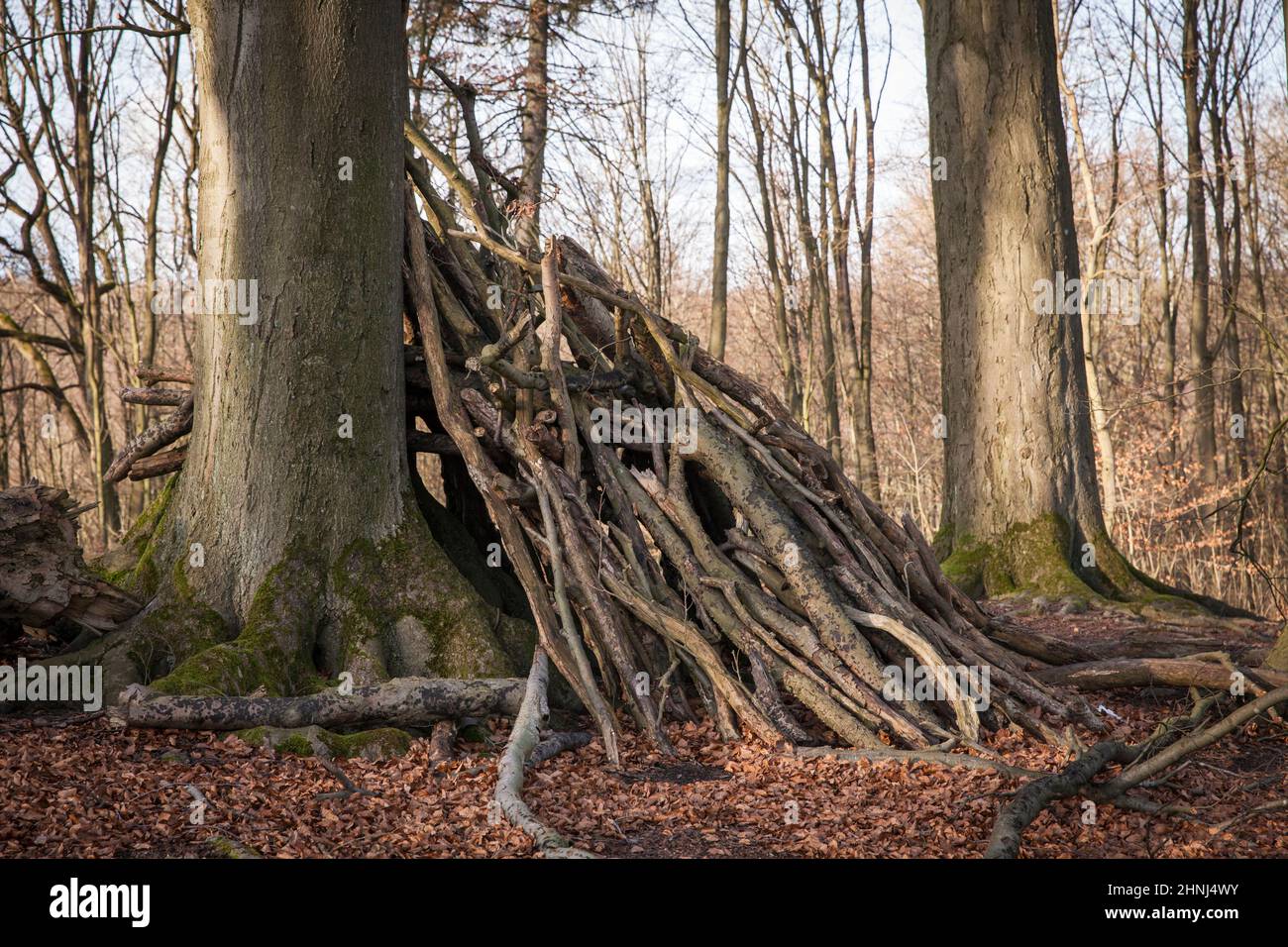 Zweighütte im Wald im Ardey-Gebirge in der Nähe der Stadt Wetter, Nordrhein-Westfalen, Deutschland. Asthuette im Wald im Ardeygebirge bei Wetter A Stockfoto