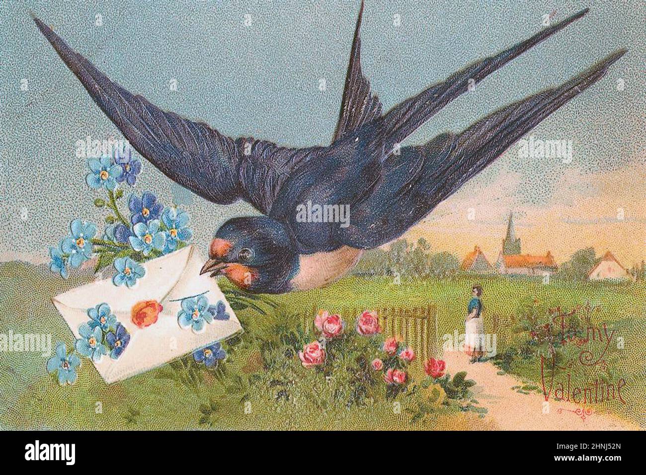 Vintage viktorianische Vogelbilder Stockfoto