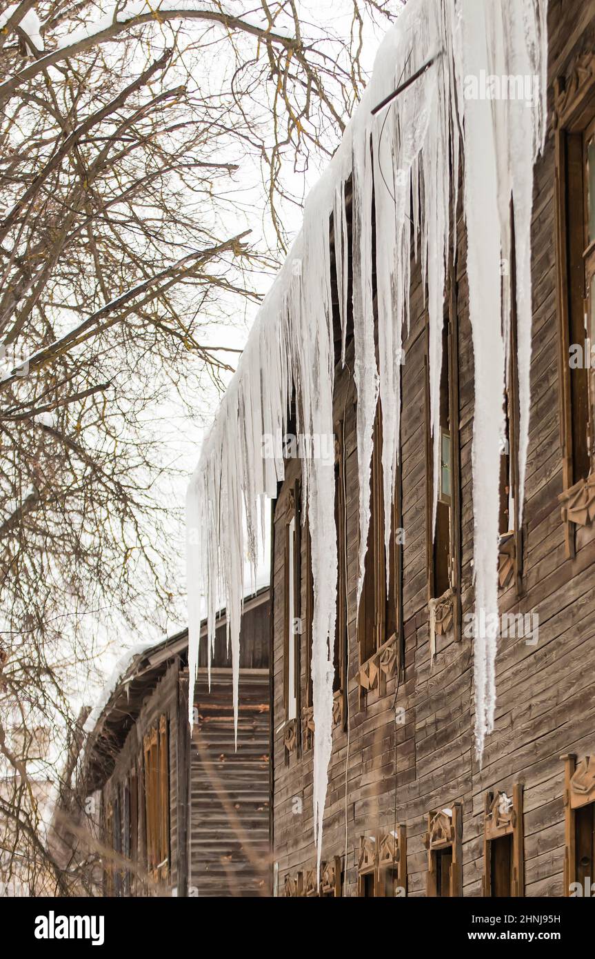 Transparente Eiszapfen hängen am Rand des Dachs. Vor dem Hintergrund der Holzwand des alten Hauses. Große Kaskaden, sogar schöne Reihen. Wolkiger Wintertag, weiches Licht. Stockfoto