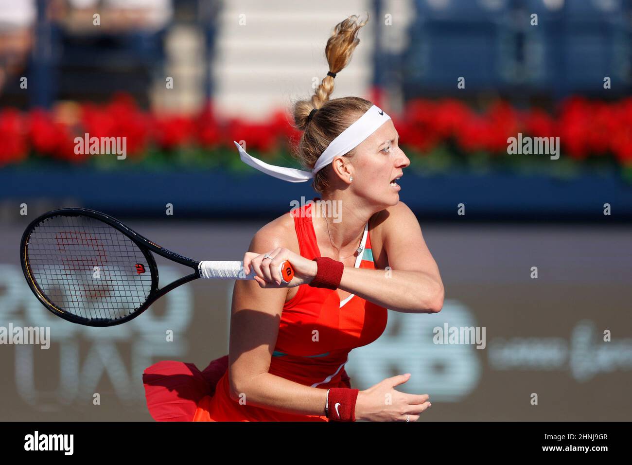 Dubai, VAE. 17th. Februar 2022. Die polnische Tennisspielerin Petra Kvitova in Aktion während des Dubai Duty Free Tennis Championships Turniers in Dubai am Donnerstag, den 17. Februar 2022., © Juergen Hasenkopf / Alamy Live News Stockfoto