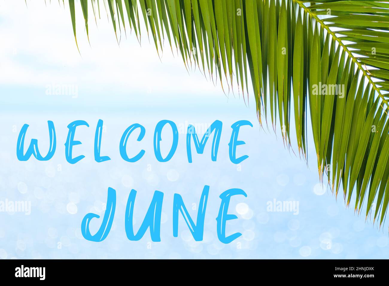 Willkommen Juni Text auf dem Hintergrund mit Palmblatt und blauem Meer. Vorlage einer Grußkarte, einer Postkarte oder einer Werbung eines Reisebüros. Stockfoto