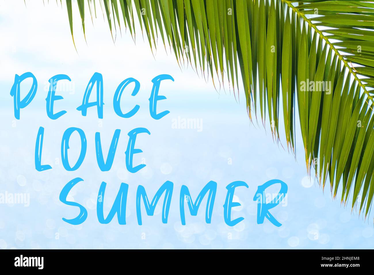 Peace Love Summer Message in eleganter Schrift auf dem Hintergrund mit Palmblatt und blauem Meer geschrieben. Urlaubskonzept und Werbung der Reiseagentur. Stockfoto