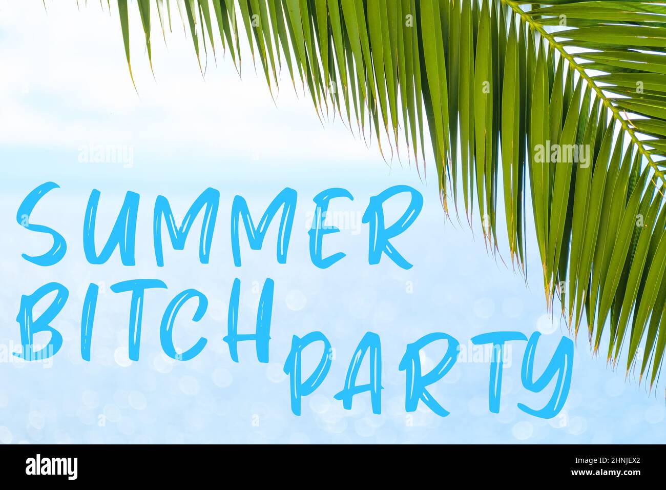 Sommer Hündin Party Nachricht in eleganter Schrift auf dem Hintergrund mit Palmblatt und blauem Meer geschrieben. Urlaubskonzept und Werbung der Reiseagentur. Stockfoto