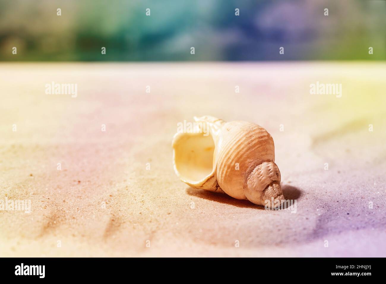 Seashell am Sommersandstrand mit Wellen im Hintergrund. Farbenfrohes, kreatives Layout für den Kopierbereich. Urlaubskonzept. Bunte Regenbogenlinse Stockfoto