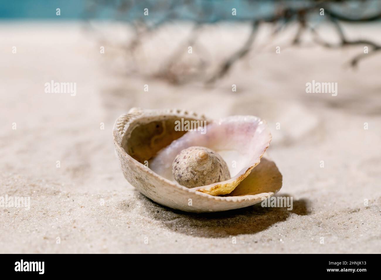 Stapel von Muscheln am sommerlichen Sandstrand mit Wellen und Korallen im Hintergrund. Kreativlayout für den Kopierbereich. Urlaubskonzept. Stockfoto