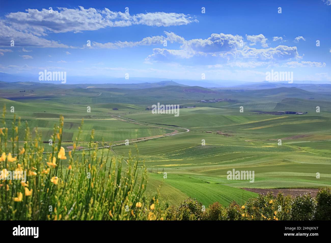 Frühling: Panoramablick auf hügelige ländliche Landschaft mit Grünflächen in Apulien, Italien. Im Hintergrund die Berge der Basilikata. Stockfoto
